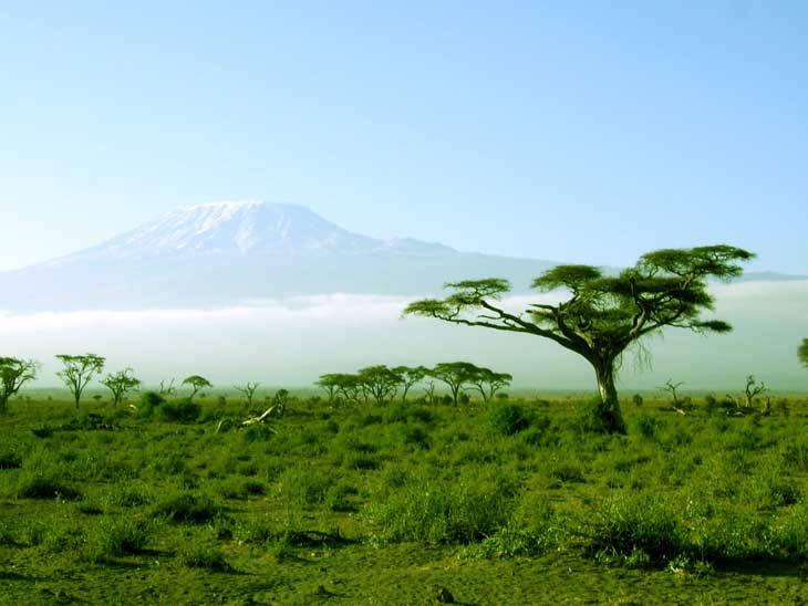 Subir al Kilimanjaro cómo llegar al techo de África