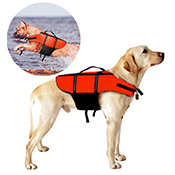 Pet life vest
