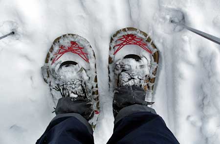 Frozen snowshoes