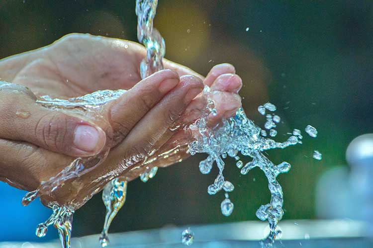 Cómo potabilizar y purificar el agua