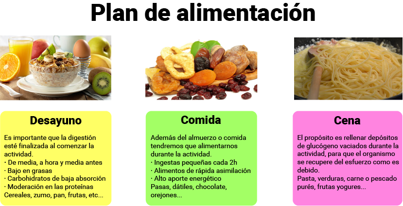 Plan de alimentación