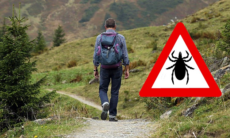 Ticks a danger for hikers and mountaineers