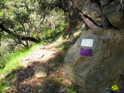 Trail marks, which are not from the mountain federation