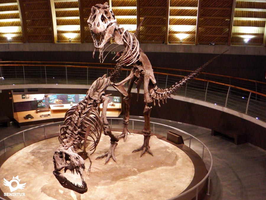 Último periodo del Mesozoico, el Cretácico en El MUJA, Museo Jurásico de Asturias
