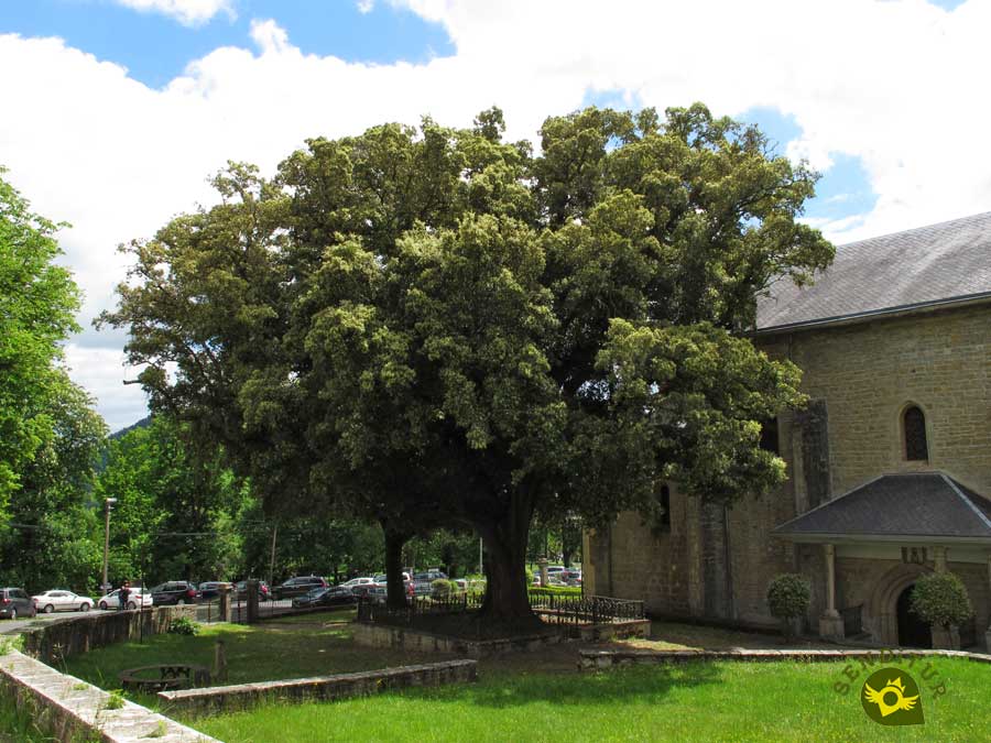 Sanctuary of Our Lady of the Holm oak