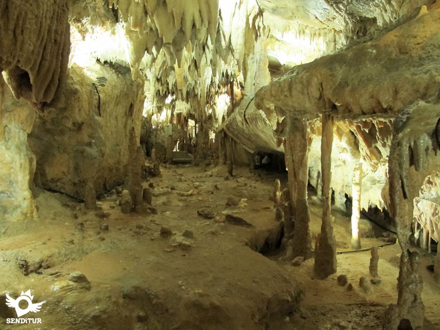 The greatest amplitude of its gallery can be seen in the Ortigosa Caves.
