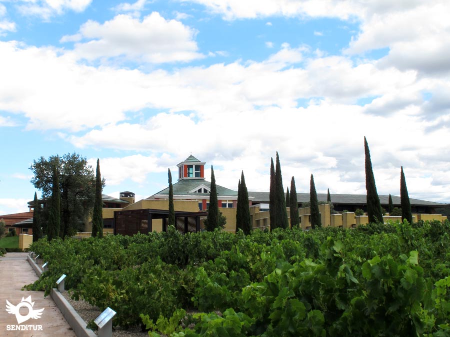 Wine Culture Museum
