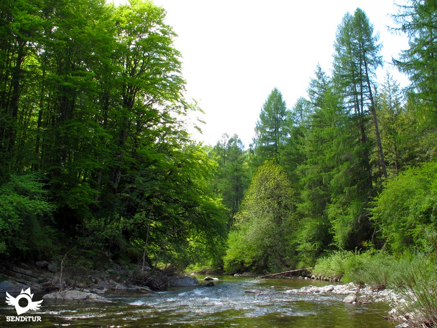 Río Irati en la Selva de Irati