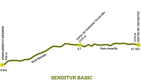 Profile of the Route in the Torcal of Antequera
