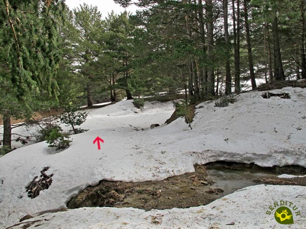 Con un poco de suerte puede que esté cubierto por la nieve