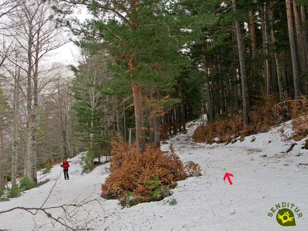 Comenzamos los giros de la pista