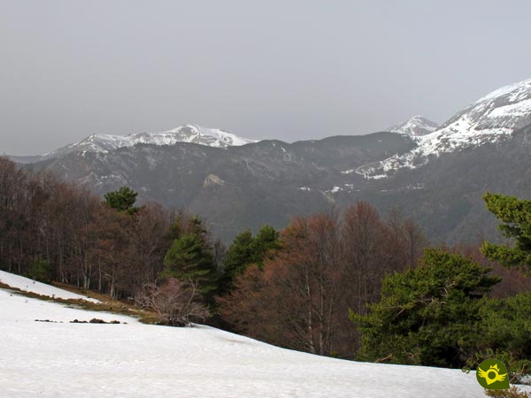 Panorámica del Valle de Hecho