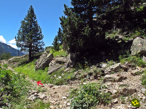 We join the GR 11 on its route between Sallent de Gállego and Balneario de Panticosa
