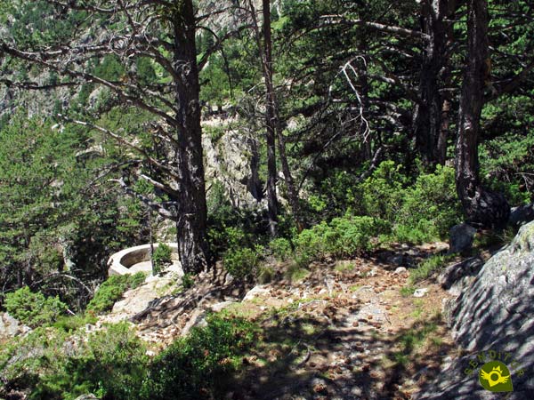 We arrived at the Viewpoint of the Pine