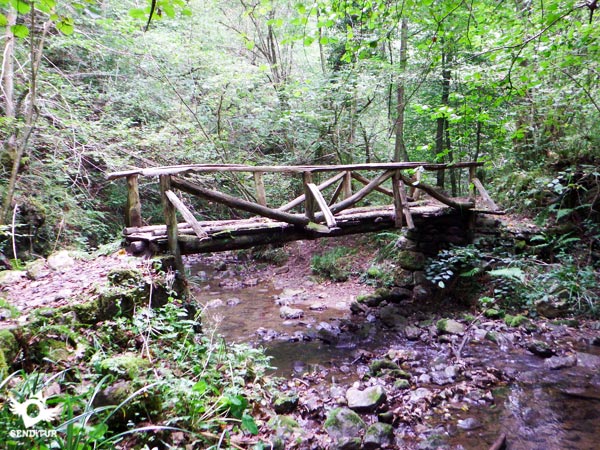 The trembling wooden bridge
