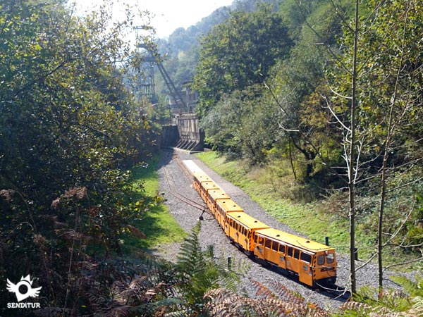Tren del Ecomuseo Minero
