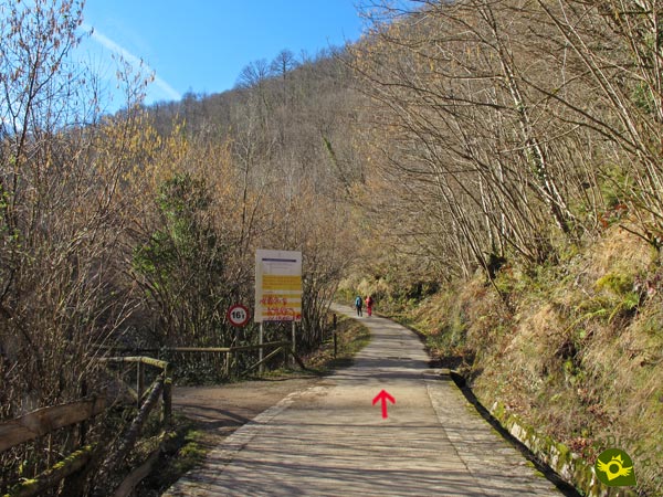 Ojo no es un paseo peatonal, también circulan vehículos