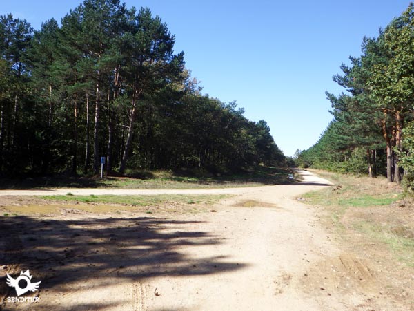 We join again to another track that comes from the road