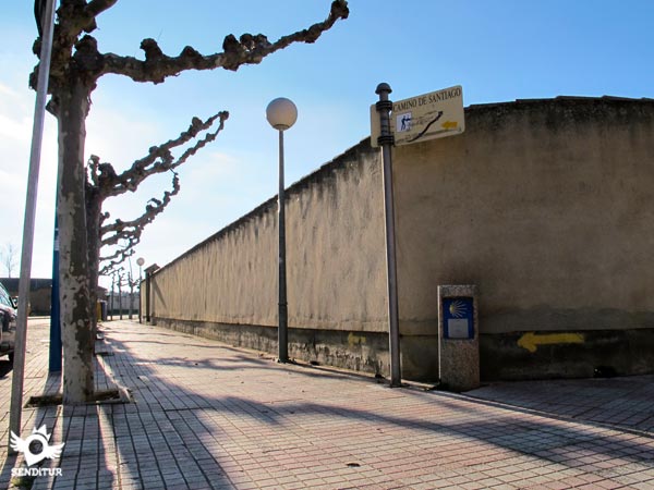 Los árboles nos acompañaran hasta la salida de Frómista