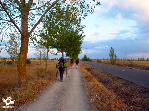 Stage 17 Reliegos-León of the Way of Saint James