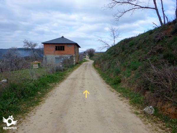 Seguimos la pista principal sin dejarla en ningún momento