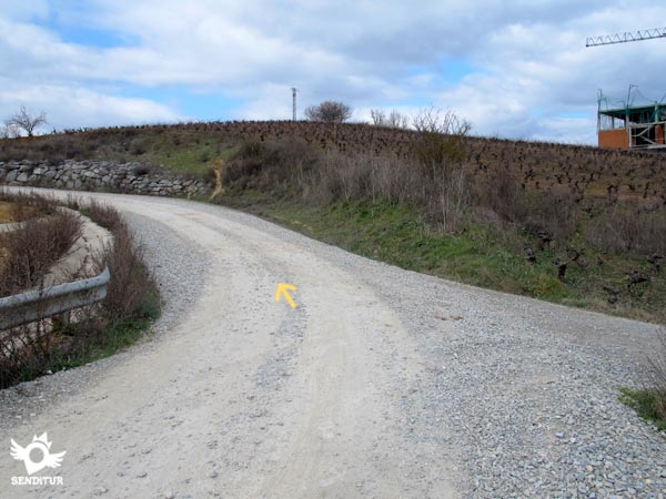 Seguimos la pista de tierra bien marcada