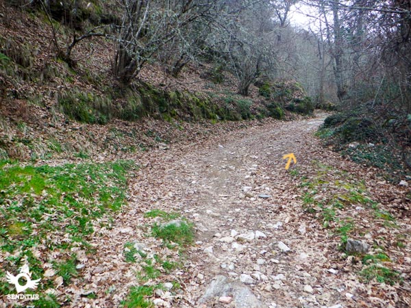 El recorrido a seguir, más ancho y definido, no deja lugar a dudas