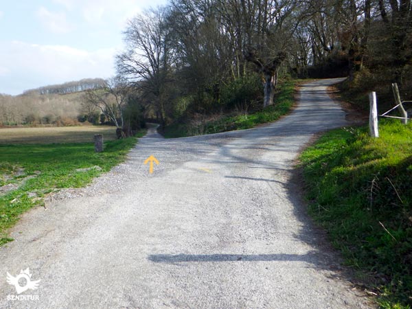 Dejamos la carretera