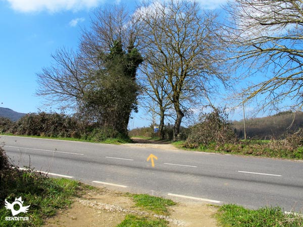 Cruzamos la carretera