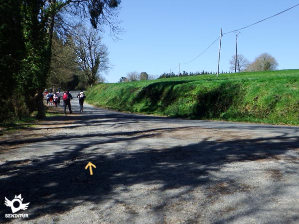 La inseparable carretera otra vez