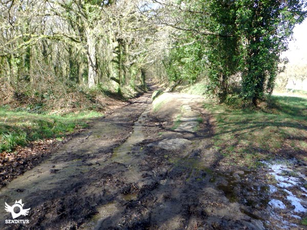 The path has several trails that try to avoid mud and water.