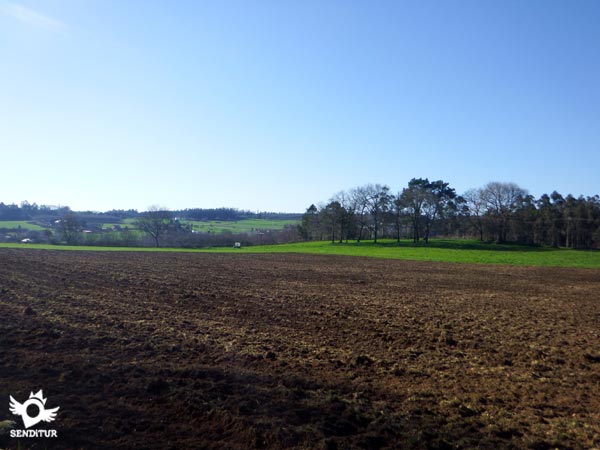 Galician pasture meadows