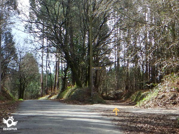 We leave the asphalt