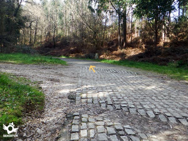 The cobblestones make it clear the way forward