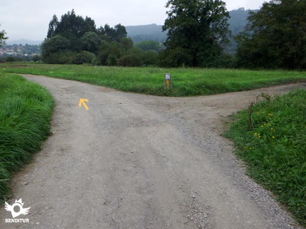 We follow the main trail at all times.