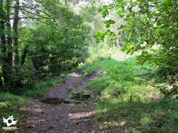The trail has sections in not very good condition