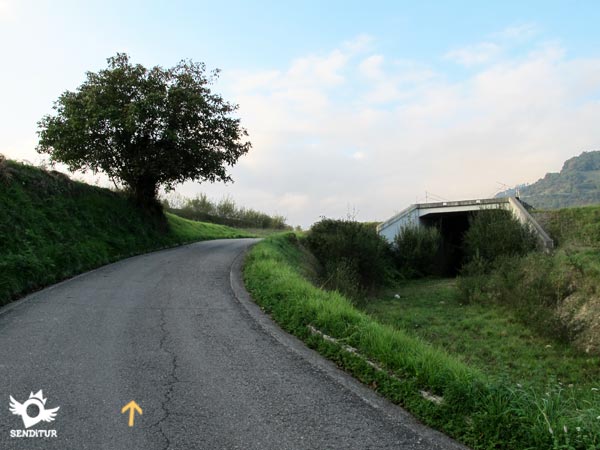 Seguimos en todo momento la carretera