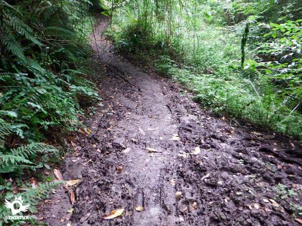 Be careful, even if it hasn't rained in time the mud is a habitual part of this stretch.