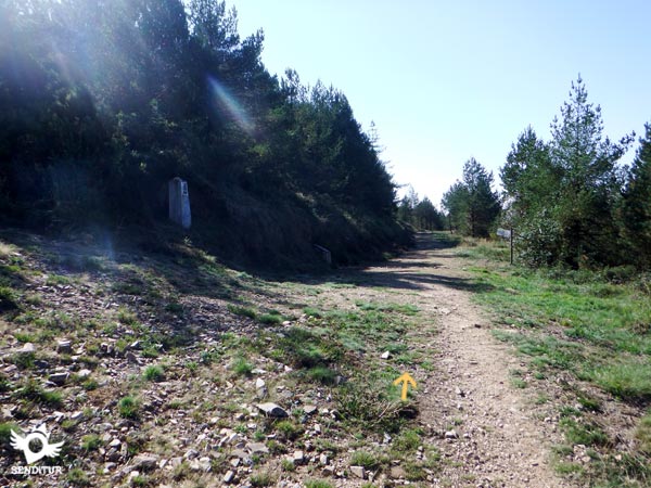 No dejamos la pista principal en ningún momento 