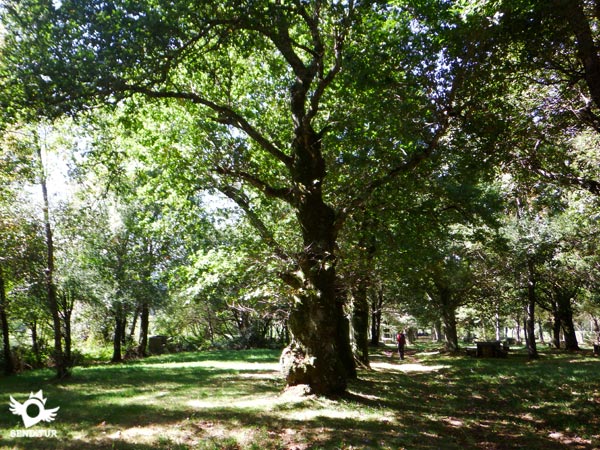 Paraje del Santuario de Nuestra Señora del Carmen