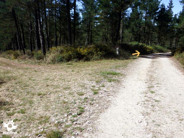 Nuestra pista está mucho más marcada