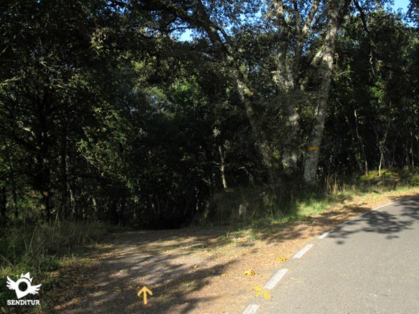 Dejamos la carretera