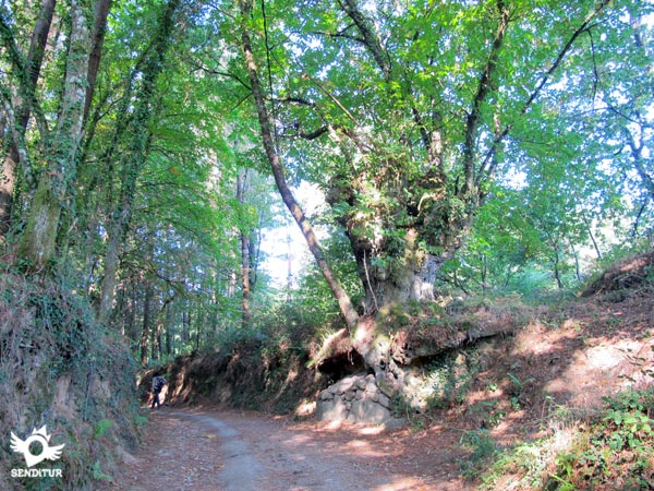 El paisaje nos regala bonitos rincones en esta etapa del Camino Primitivo