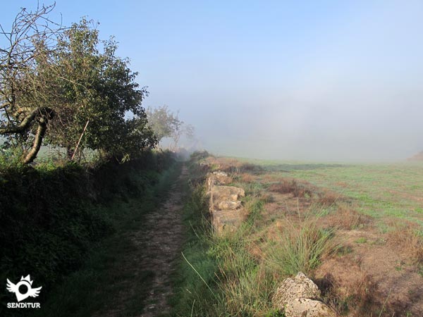 Los muretes que bordean los campos delimitan el camino