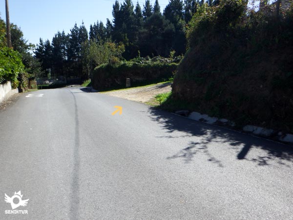 Seguimos unos metros por la carretera en busca de la continuación del camino