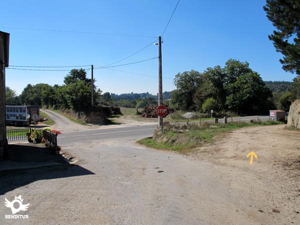 El camino nos salva de la carretera