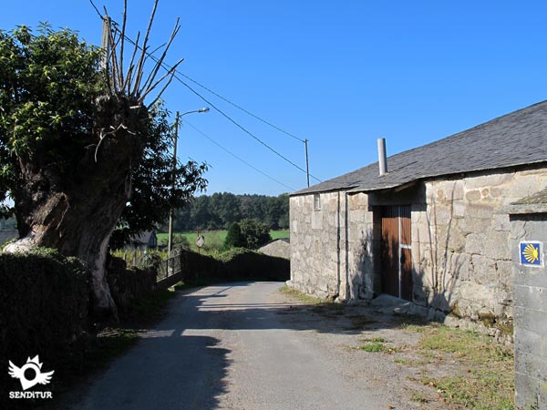 Atravesamos Nadela