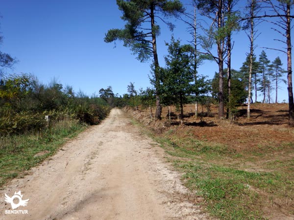 Seguimos la amplia pista