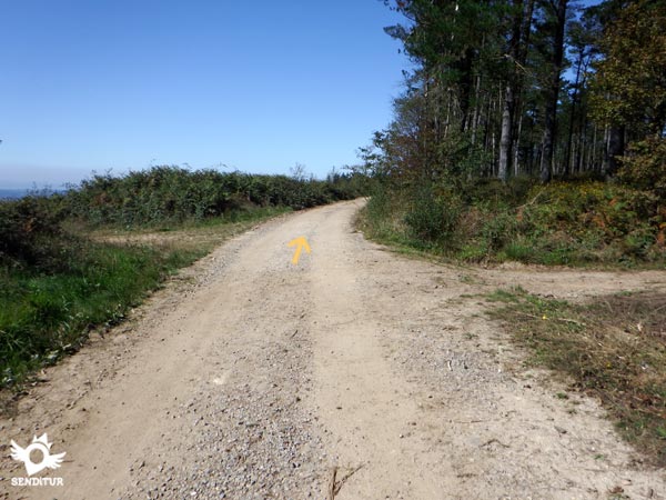 No dejamos la pista principal en ningún momento