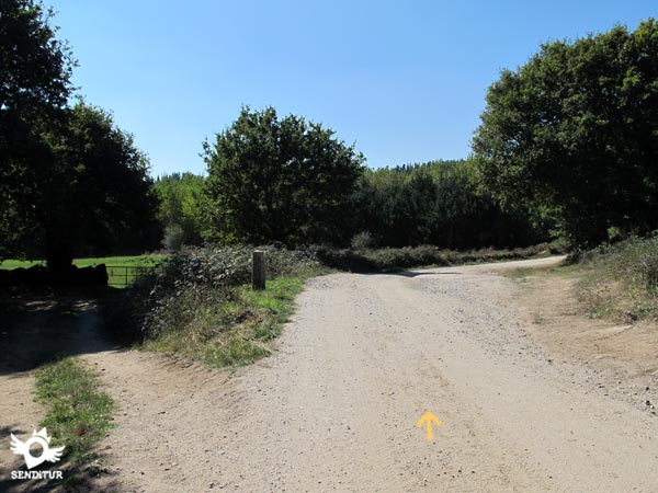 La amplitud de nuestra pista nos sirve de referencia en caso de duda